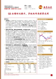 Q3业绩环比提升，多板块布局前景光明