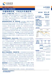 业绩短期扰动,不改龙头长期空间