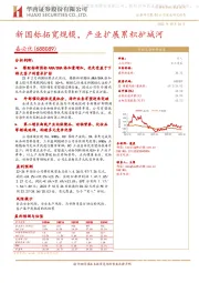 新国标拓宽规模,产业扩展累积护城河