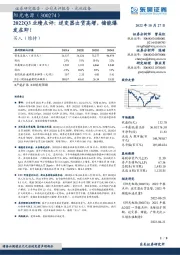 2022Q3业绩点评：逆变器出货高增，储能爆发在即！