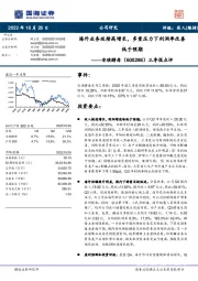 三季报点评:海外业务延续高增长,多重压力下利润率改善低于预期