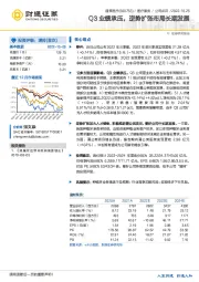 Q3业绩承压，逆势扩张布局长期发展