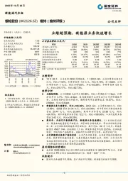 业绩超预期，新能源业务快速增长