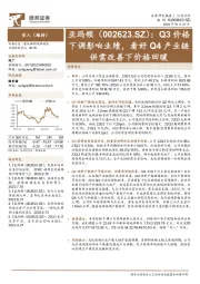 Q3价格下调影响业绩,看好Q4产业链供需改善下价格回暖