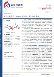 硅料量利齐升，TOPCon技术与一体化加速落地