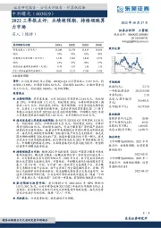 2022三季报点评：业绩超预期，持续领跑算力市场