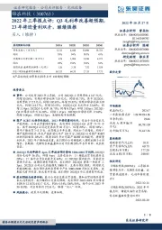 2022年三季报点评:Q3毛利率改善超预期,23年将迎量利双升,继续强推