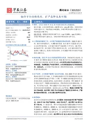 钴价下行业绩承压，扩产在即未来可期