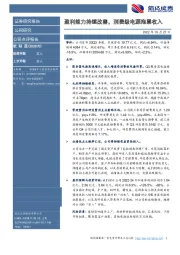 盈利能力持续改善，消费级电源拖累收入