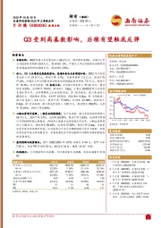 Q3受到高基数影响,后续有望触底反弹