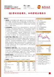 Q3营收快速增长，加码营销业绩承压