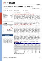 公司信息更新报告：国内高纯溅射靶材龙头，业绩高增长