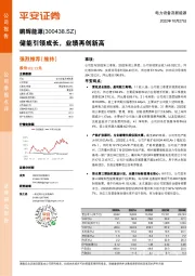 储能引领成长,业绩再创新高