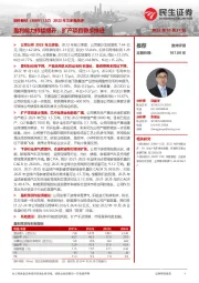 2022年三季报点评:盈利能力持续提升,扩产项目稳步推进