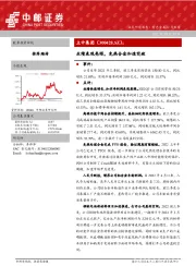业绩表现亮眼，免热合金加速突破