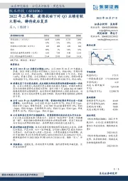 2022年三季报：疫情扰动下对Q3业绩有较大影响，静待疫后复苏