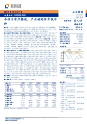 各项目有序推进,产业链延伸步伐不停