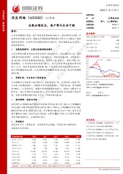 当期业绩承压,国产替代未来可期