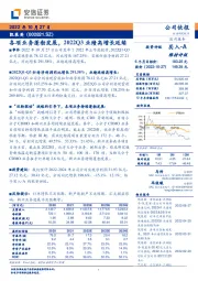 各项业务蓬勃发展，2022Q3业绩高增长延续