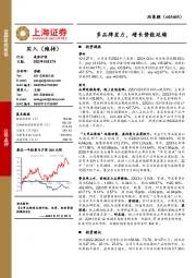 多品牌发力,增长势能延续
