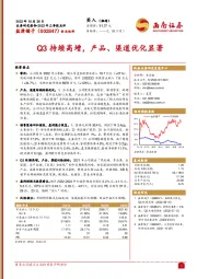 Q3持续高增,产品、渠道优化显著