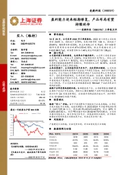 三季报点评:盈利能力迎来短期修复,产品布局有望持续延伸