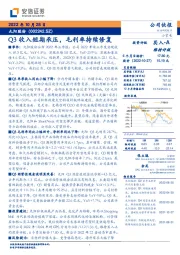 Q3收入短期承压，毛利率持续修复