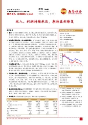 收入、利润持续承压，期待盈利修复