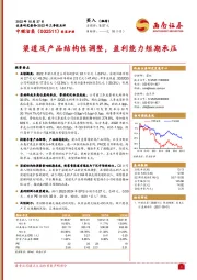 渠道及产品结构性调整，盈利能力短期承压