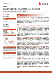 2022年三季报点评:Q3业绩环比显著改善,关注公司封装及OLED发光材料进展