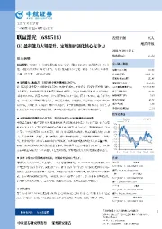 Q3盈利能力大幅提升,定增加码强化核心竞争力