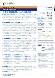 三季度利润高增，全年业绩无忧