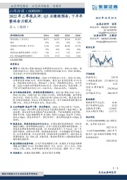 2022年三季报点评：Q3业绩超预告，下半年整体余力较足