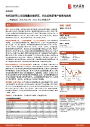 2022年三季报点评：有机硅价跌工业硅缩量业绩承压，关注后续新增产能落地进展