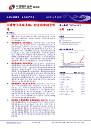 业绩增长表现亮眼,财务稳健融资畅通