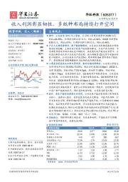 收入利润彰显韧性，多纸种布局持续打开空间