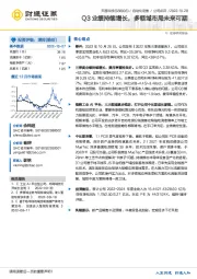 Q3业绩持续增长，多领域布局未来可期