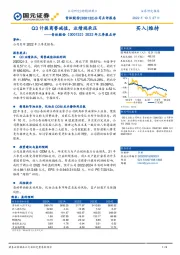 2022年三季报点评：Q3计提商誉减值，业绩端承压