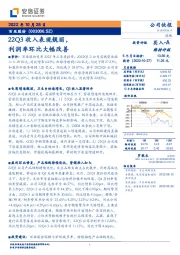 22Q3收入表现靓丽，利润率环比大幅改善