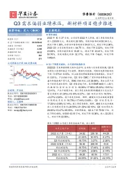 Q3需求偏弱业绩承压,新材料项目稳步推进