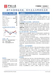 海外业务增速放缓，国内自主品牌持续高增