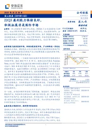 22Q3盈利能力保持良好，积极拓展非美国际市场