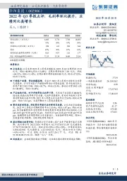 2022年Q3季报点评：毛利率环比提升，业绩同比高增长