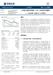 点评报告：三季度业绩符合预期，矿化一体优势不断增强