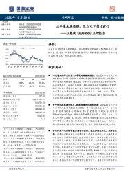 点评报告:三季度表现亮眼,压力之下负重前行