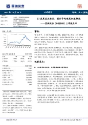 三季报点评：Q3炭黑成本承压，看好导电碳黑加速推进