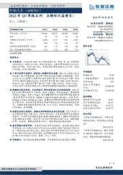 2022年Q3季报点评：业绩环比高增长！