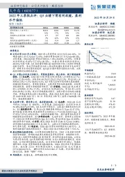 2022年三季报点评：Q3业绩下滑有所放缓，盈利水平偏低