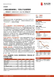 2022年三季报点评：三季度业绩持续增长，可视化产品值得期待