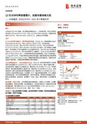 2022年三季报点评:Q3扣非净利率显著提升,经营改善持续兑现